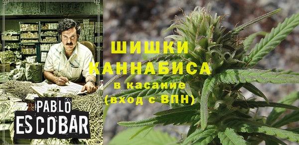 сатива Краснослободск