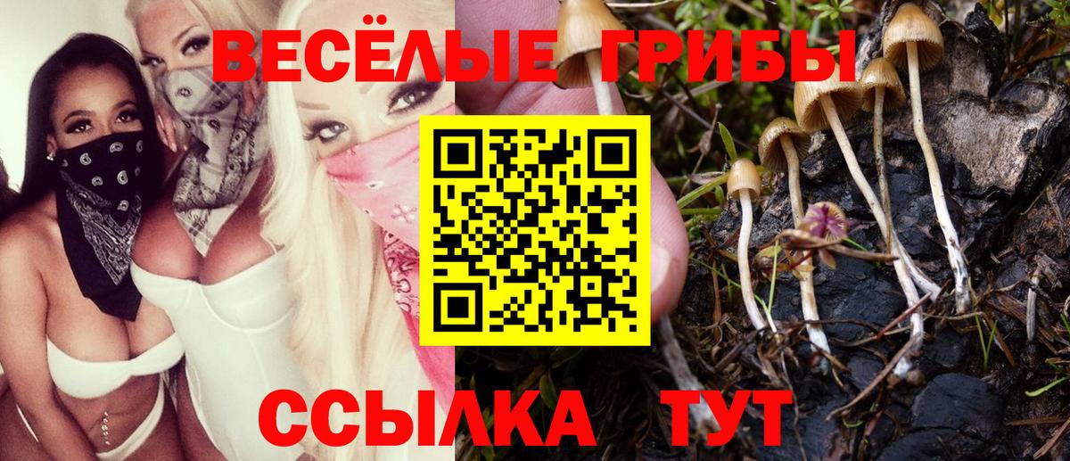 Галлюциногенные грибы мицелий Шумерля